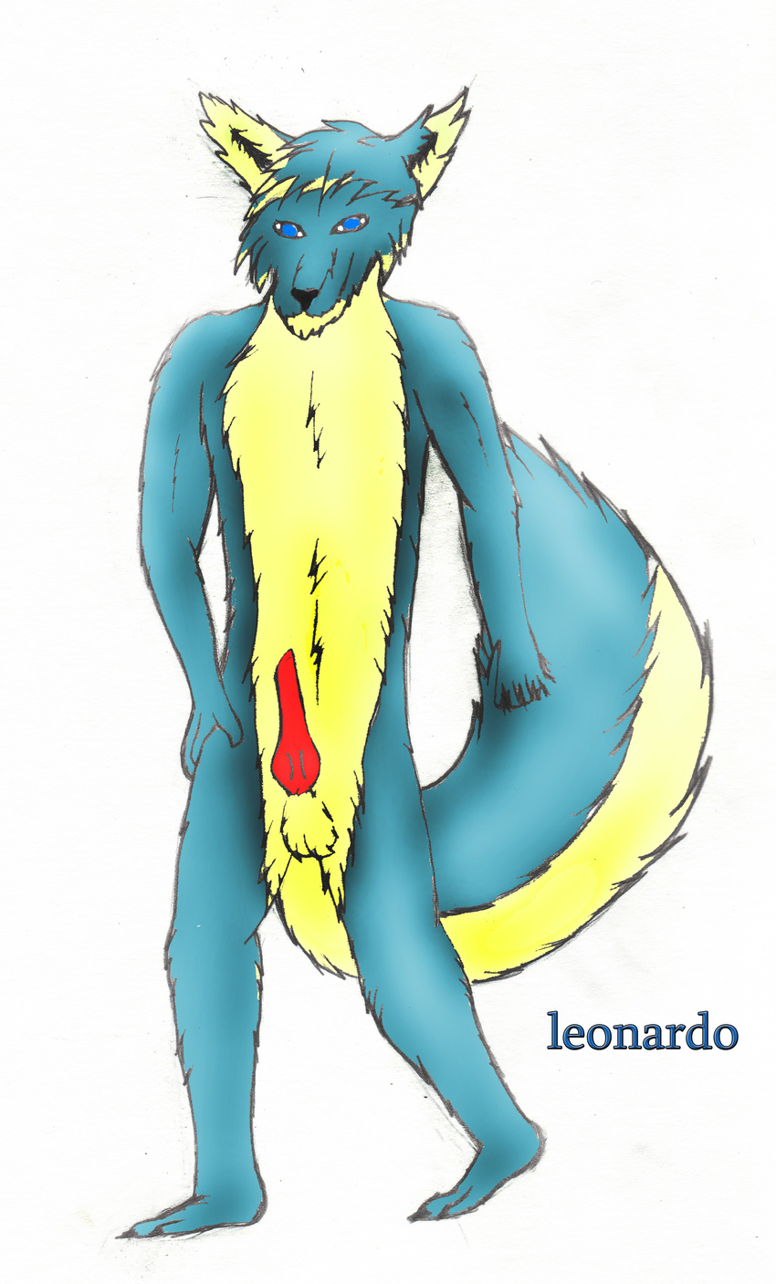 absurd_res blue canine fox hi_res male penis solo tail