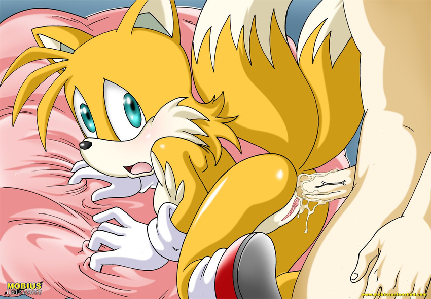 anal anus breasts canine crossgender cum female fox male mobius_unleashed penis pussy sonic_(series) straight tail tailsko
