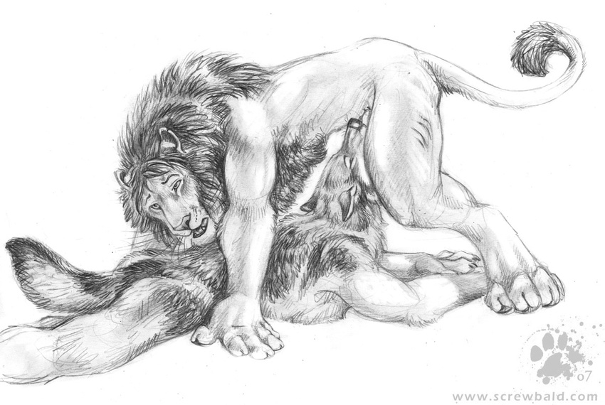 blotch canine feline fellatio gay lion male oral oral_sex sex wolf