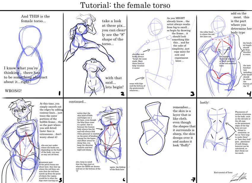 artwolfe feline female how_to the_more_you_know torso tutorial
