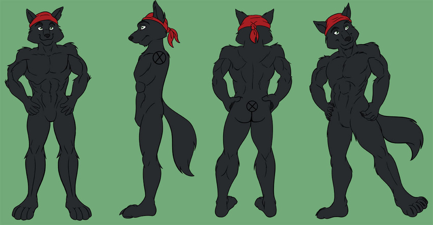 bandanna canine dook flat_colors looking_at_viewer lupine_assassin male model_sheet poses solo tame wolf