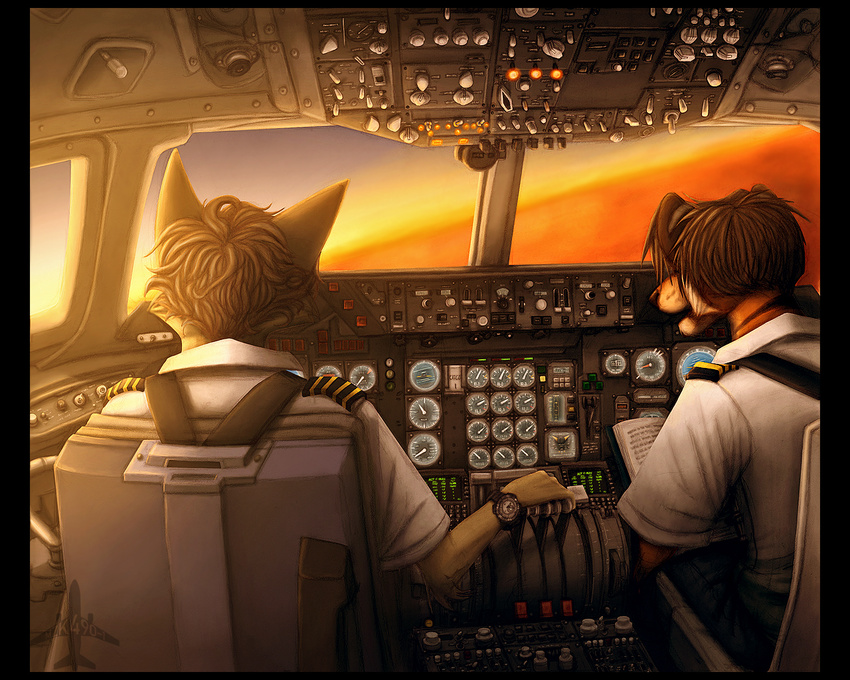 airplane aviation book canine cockpit feline fox gearotter pilot pilots sunset tiger watch