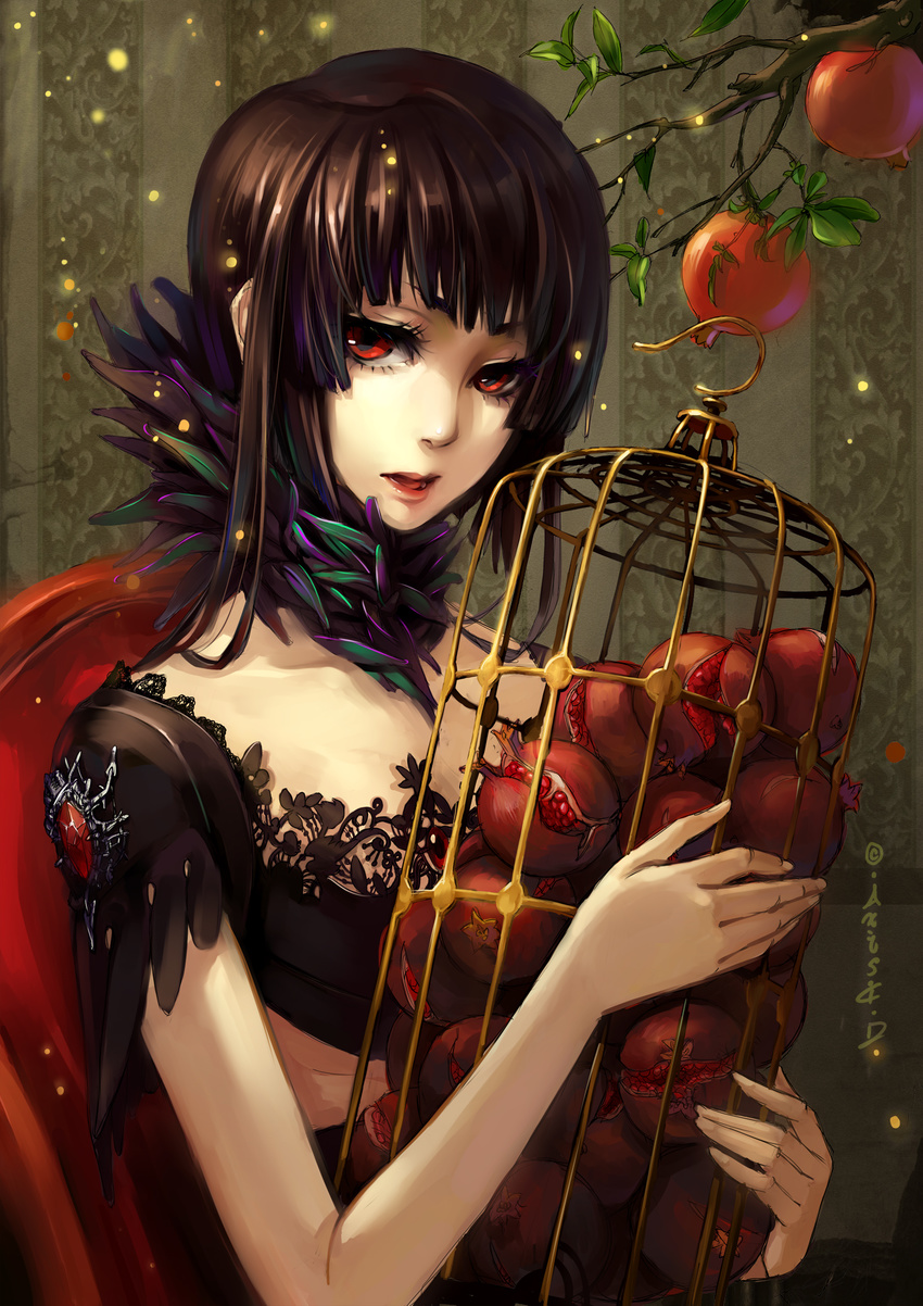 axis04 bad_id bad_pixiv_id brown_hair cage food fruit gothic_lolita highres lolita_fashion long_hair original pomegranate red_eyes solo