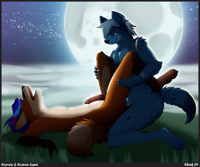 anal anal_penetration blue canine couple cum cute eyes_closed fox gay grass green_eyes hair hyena knoxin kraven love male missionary_position moon moonlight night open_mouth penetration penis romantic scar shiuk spots spotted_hyena