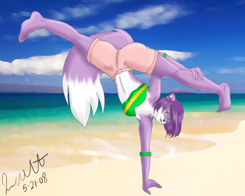 beach canine female fox handstand jenkitty20 jessie midriff purple seaside shorts solo
