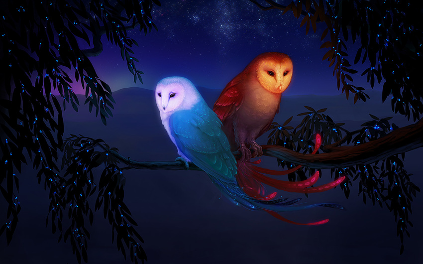 avian berries blue feathers feral geckzilla glow leaves looking_at_viewer nature owl red tree wallpaper