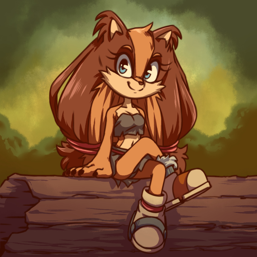 2019 anthro badger blue_eyes cheek_tuft clothed clothing crossed_legs ear_tuft female footwear hair_tie head_tuft log looking_at_viewer mammal midriff mustelid musteline navel outside plagueofgripes plant shoes shrub simple_background smile solo sonic_(series) sonic_boom sticks_the_jungle_badger tuft wood