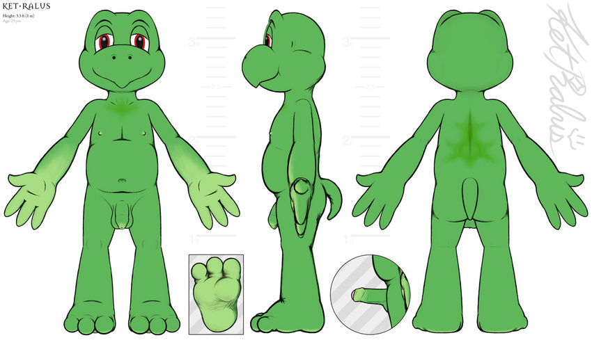 adult balls butt erection flaccid franklin green green_body green_penis hindpaw ket_ralus ket_ralus_(character) limp male model_sheet nipples nude paws penis plain_background red_eyes reptile scalie shell-less short turtle uncut white_background
