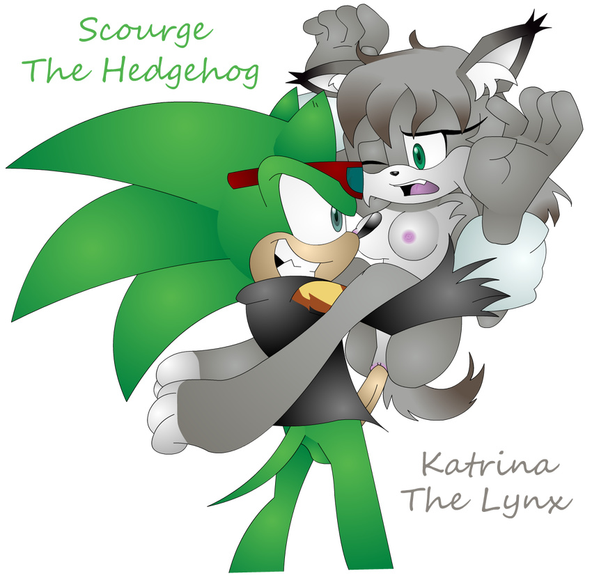 krazykacophony scourge_the_hedgehog sonic_team tagme