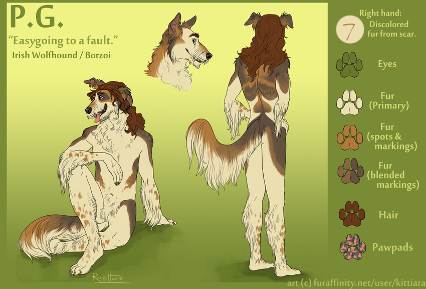 borzoi brown_hair canine dog hair kittiara long_hair male mammal model_sheet nude pg sheath solo spots tongue wolfhound