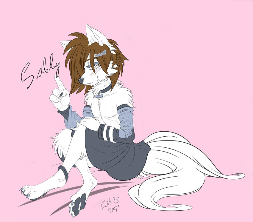 canine crossdressing male quadra sabuteur solo wolf