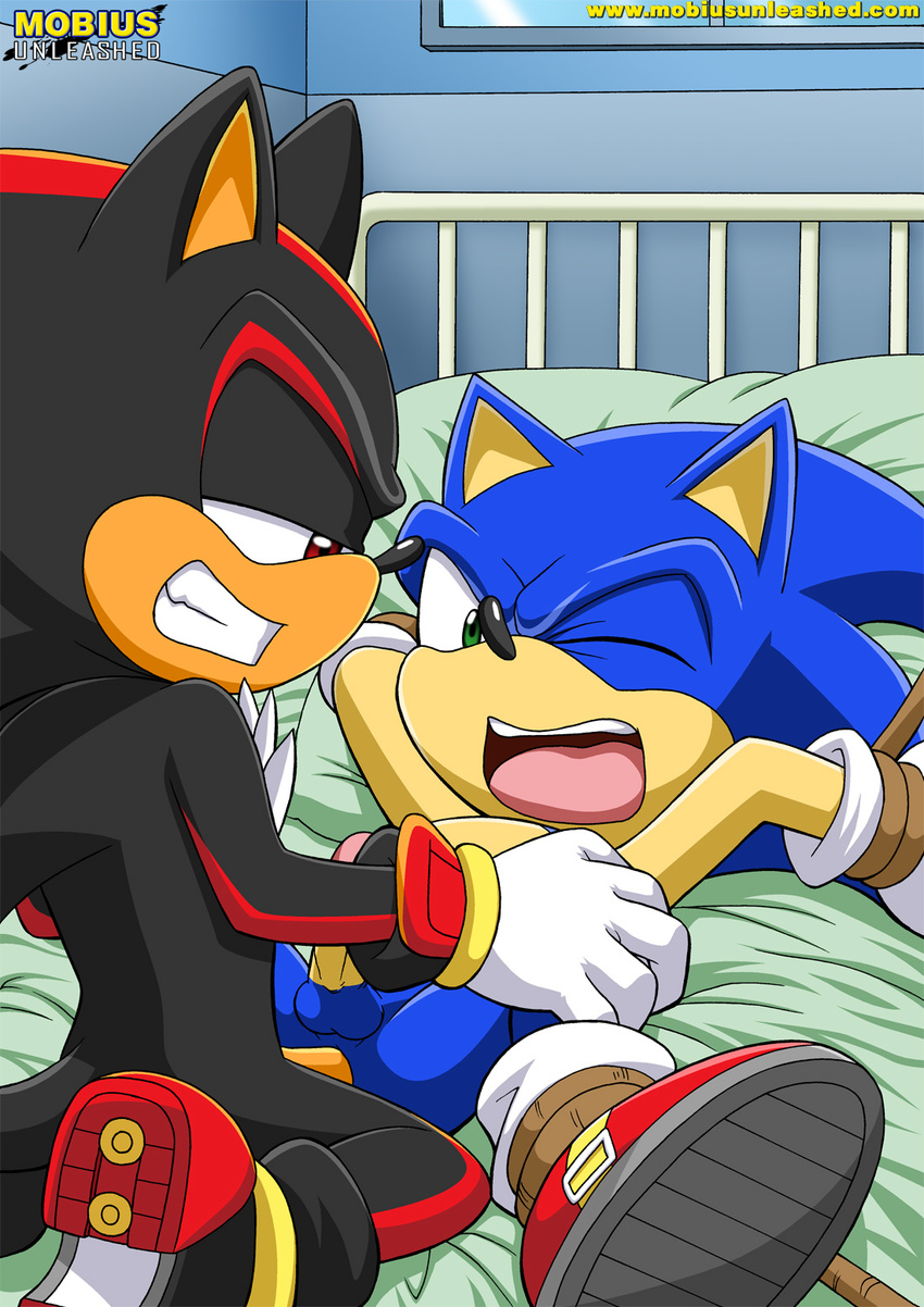 anal bdsm bed bondage gay hedgehog looking_at_each_other male mobian mobius_unleashed sega sex shadow_the_hedgehog sonic_(series) sonic_the_hedgehog