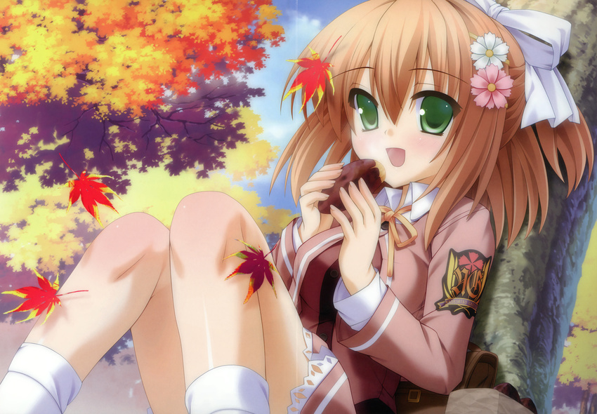 aoigiri_kotono brown_hair canvas_4 flower green_eyes kannon_ouji ribbon solo