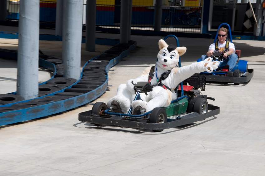 cake canine dog food fursuit go-kart go_kart lol_comments looking_at_viewer male mammal outside real tongue unknown_artist wave waving