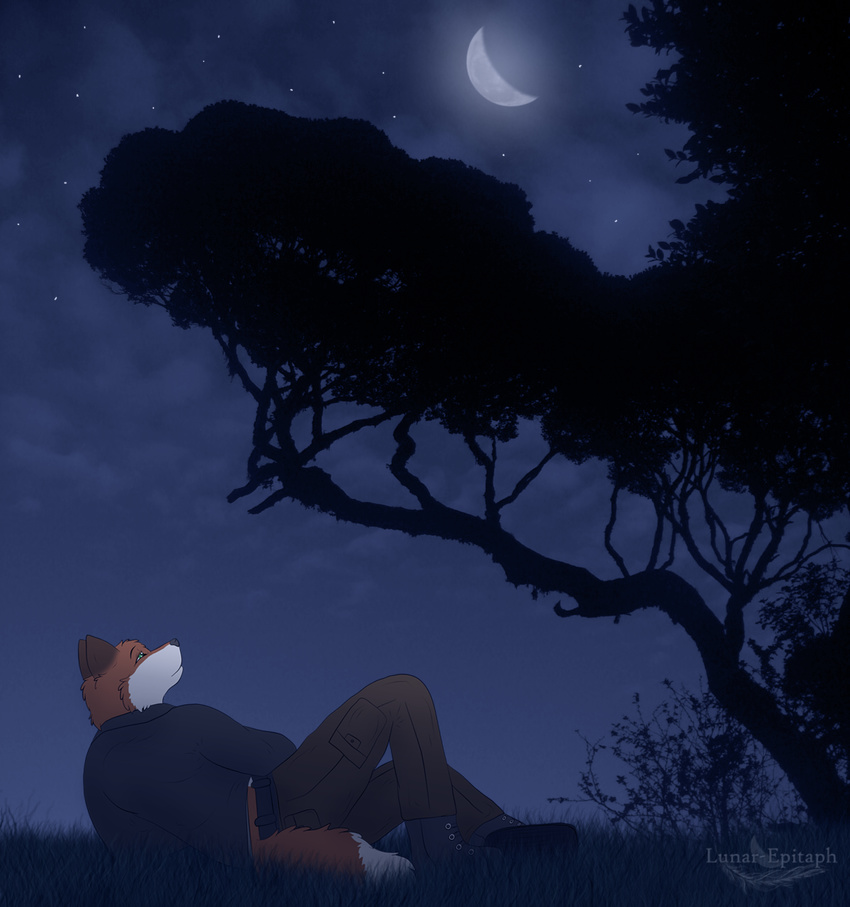 canine fox lunar_epitaph lying mammal moon night on_back outside solo tree wood