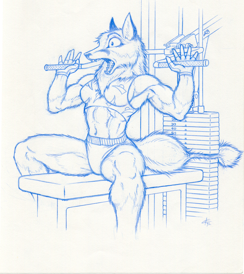 1992 buff canine doing_it_wrong eric_elliott female fox funny hi_res iisaw muscles ouch solo tail trapped weights working_out yelp