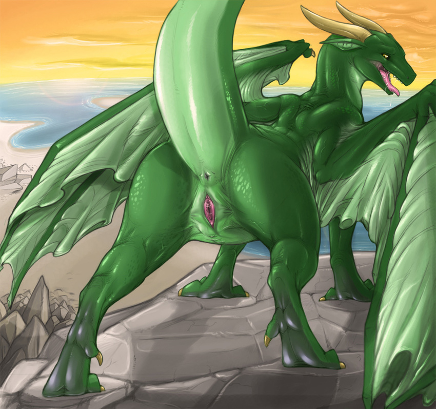 back butt dragon edit female feral green hindpaw horns narse plump_labia pussy raised_tail reptile rocks sarmy scalie sea solo standing tail wings