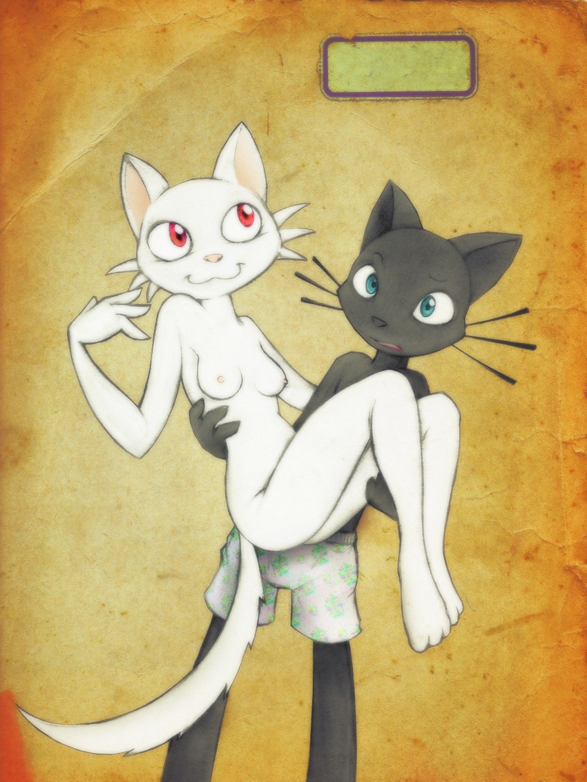 black blue_eyes breasts cat caught couple darkdoomer feline female happy kittie male miw nipples not_sure_if_want nude pants red_eyes underwear whiskers white