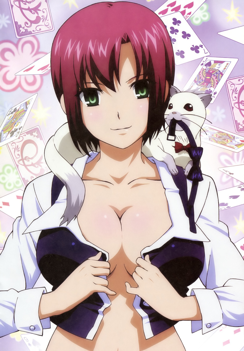 absurdres bow bowtie breasts card cleavage croupier falling_card ferret green_eyes highres large_breasts no_bra non-web_source purple_hair rio_-rainbow_gate!- rio_rollins short_hair solo super_blackjack undressing