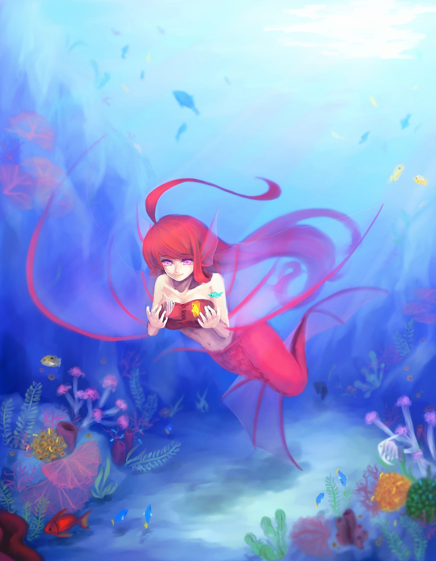 breasts female fish mermaid red_hair scales underwater water