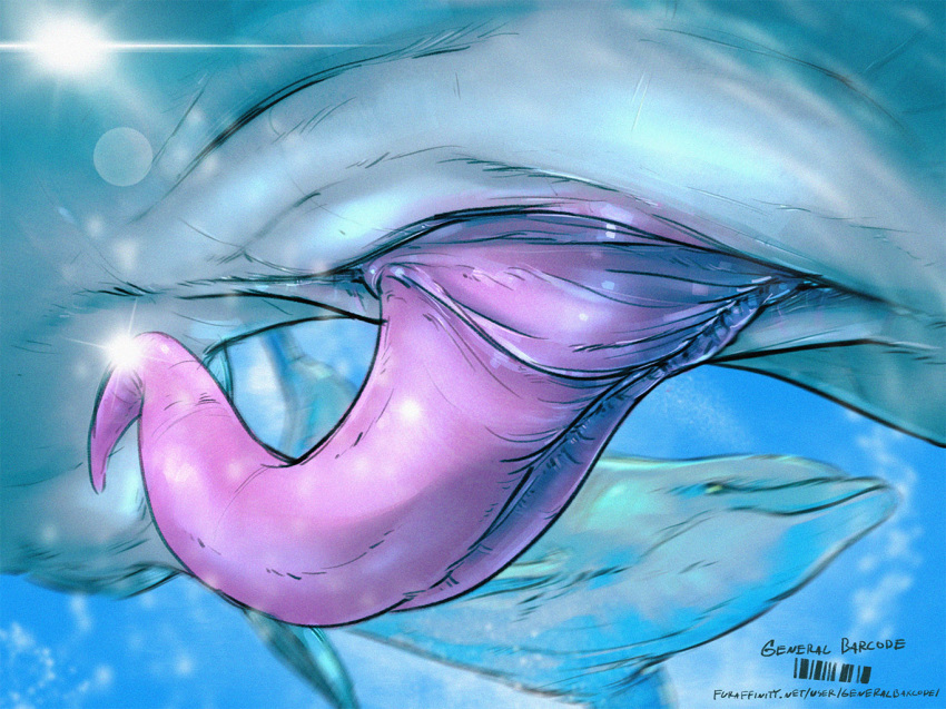 2019 animal_genitalia animal_penis cetacean cetacean_penis close-up delphinoid duo erection feral generalbarcode male mammal marine oceanic_dolphin penis sheath toothed_whale water