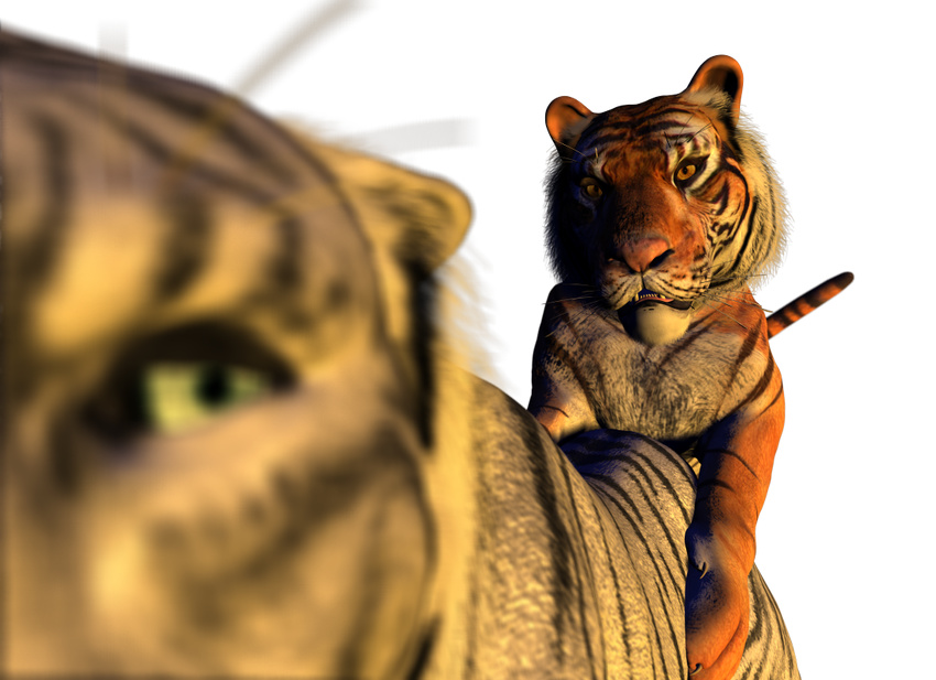 2009 3d alpha_channel anal blue_eyes feline feral feralo gay male orange orange_eyes siberian_tiger spanking_(artist) tiger white