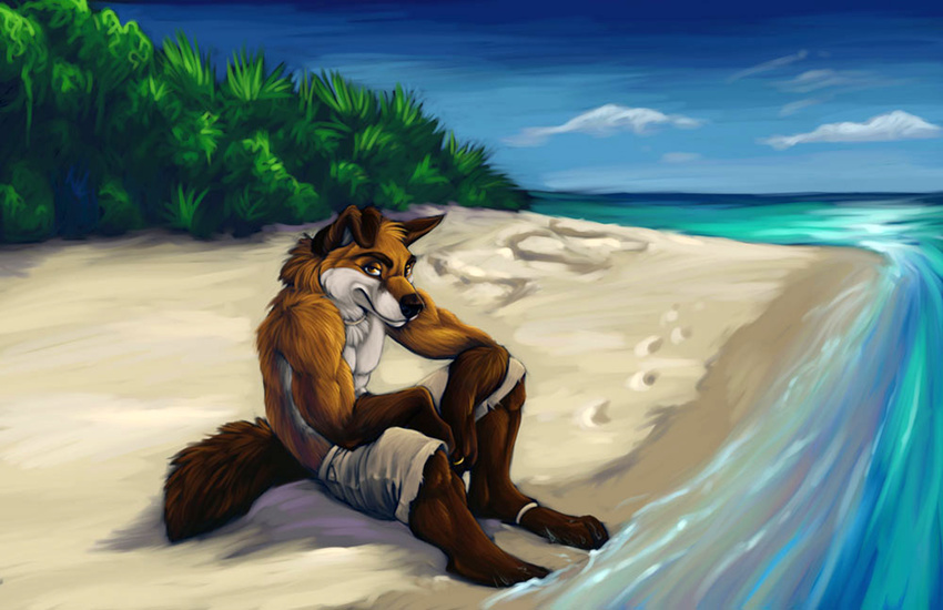 2008 beach black_nose canine chibi-marrow clothed clouds fox looking_at_viewer male orange_eyes ring sand seaside shore shorts solo topless tress water