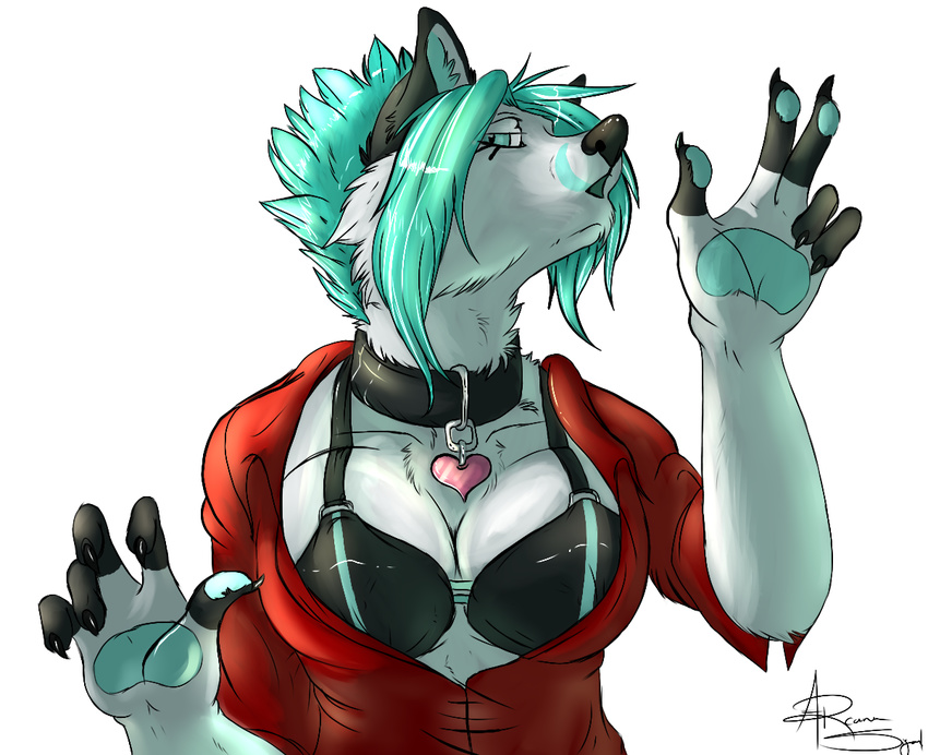 arcanasigal blue_hair canine collar female hair looking_at_viewer solo wolf