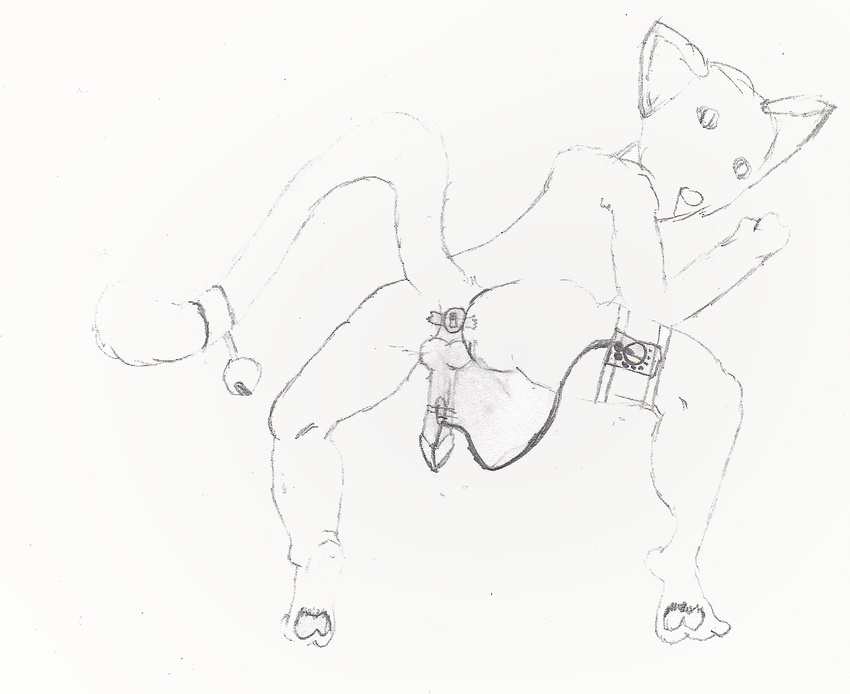 cat feline furryandy male penis sex_toy sketch vibrator