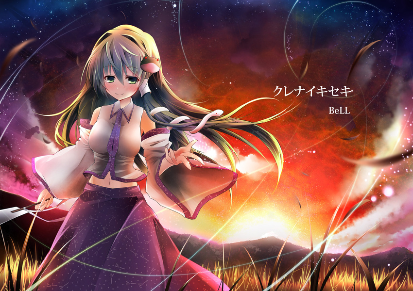 bad_id bad_pixiv_id bell_(oppore_coppore) blush comic cover cover_page detached_sleeves frog green_eyes green_hair hair_ornament highres kochiya_sanae long_hair night sky solo star_(sky) touhou