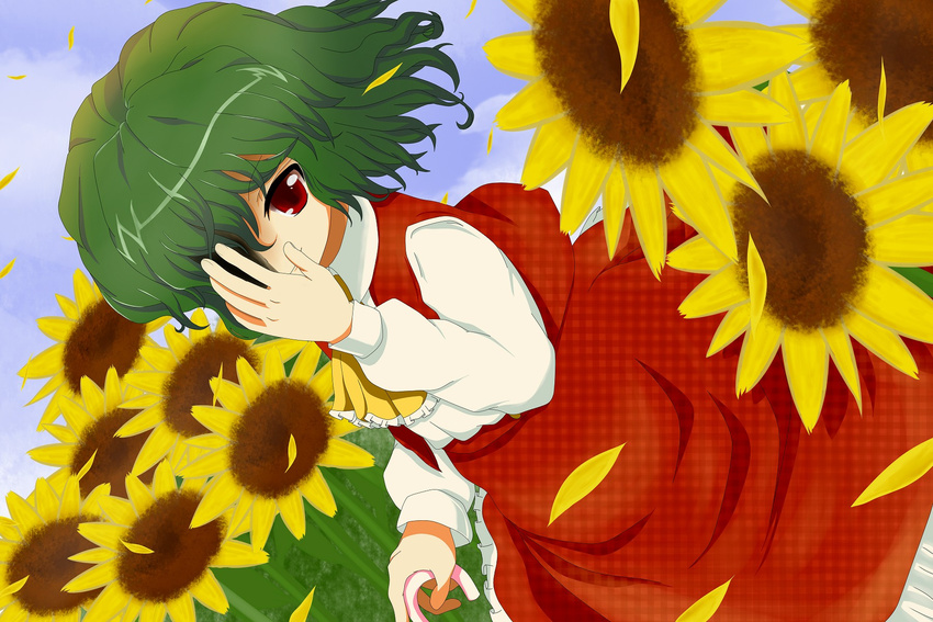 bad_id bad_pixiv_id flower green_hair highres kazami_yuuka red_eyes solo sunflower toranashi touhou