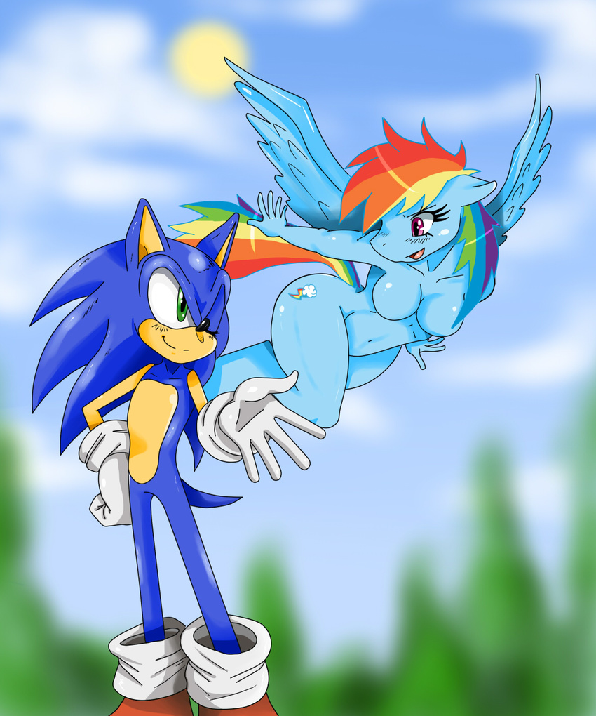 anthrofied big_thighs blue_fur breasts crossover duo equine female friendship_is_magic fur hedgehog horse male mammal my_little_pony one_eye_closed pegasus pony rainbow_dash_(mlp) sega smile sonic_(series) sonic_the_hedgehog sssonic2 wings wink