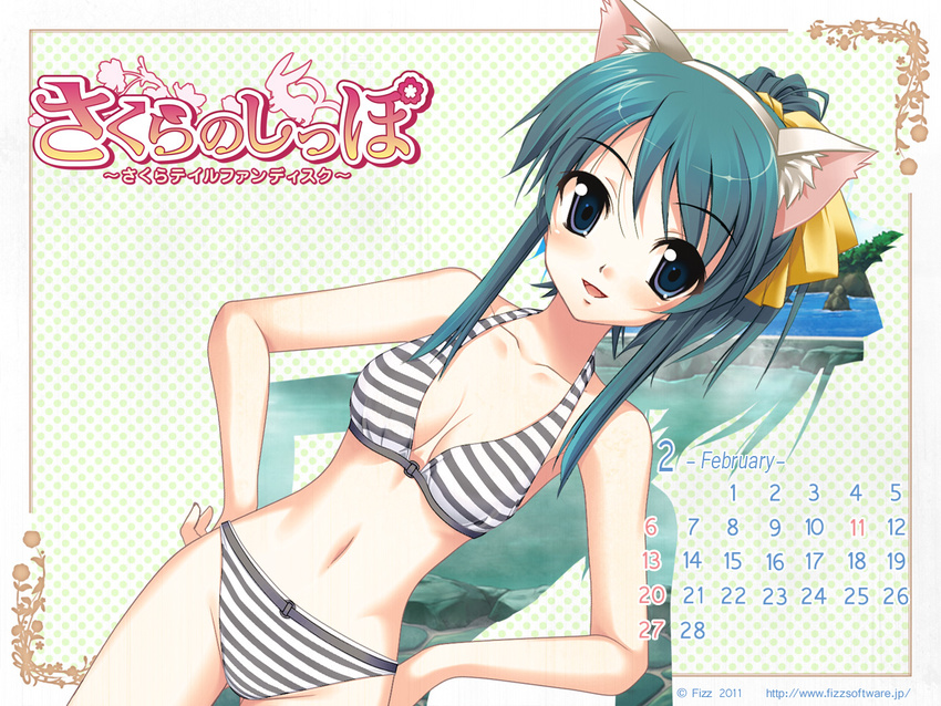 animal_ears bikini blue_eyes blue_hair calendar cleavage sakura_tale swimsuit tagme