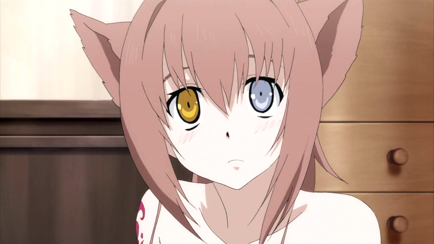 ai ai_(dragon_crisis!) animal_ears dragon_crisis! heterochromia wolf_ears