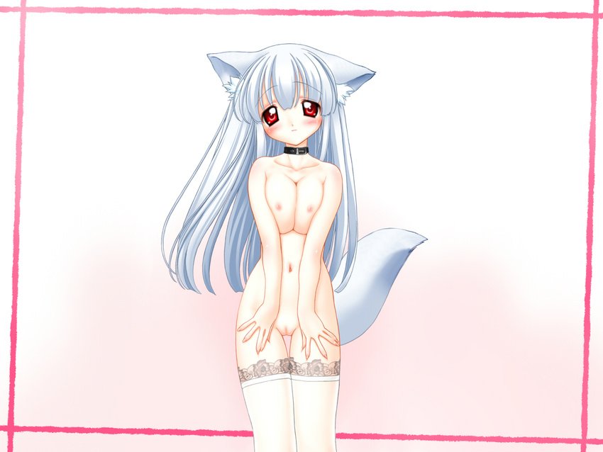 animal_ears breasts collar foxgirl nipples nude photoshop pussy red_eyes tail thighhighs uncensored white_hair