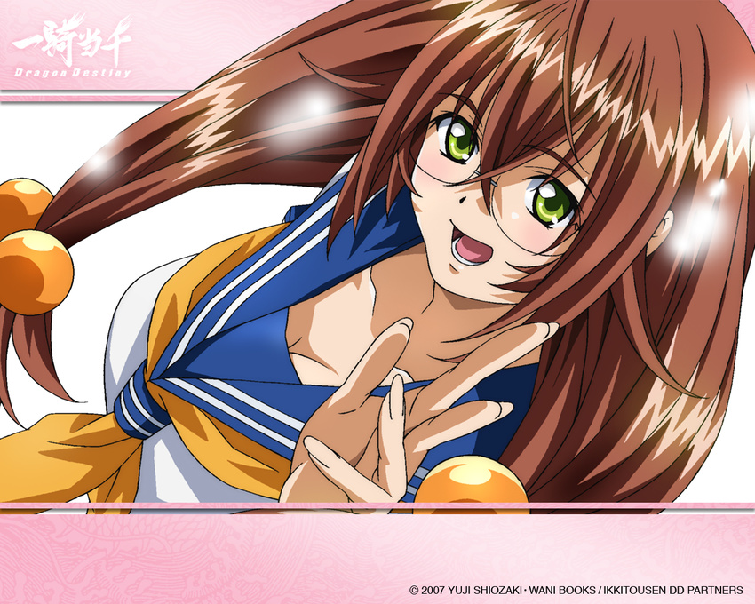 breasts ikkitousen large_breast large_breasts ryuubi_gentoku