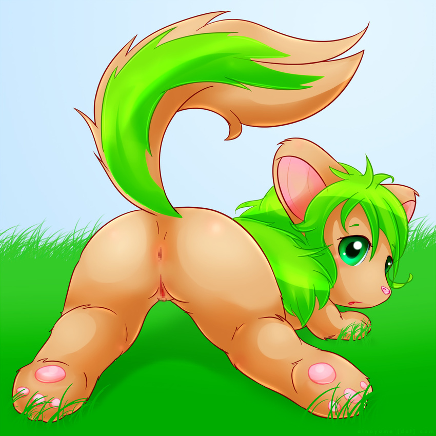 butt censored cub female grass green_eyes green_hair maverick neopets pose presenting pussy raised_tail solo tail xweetok