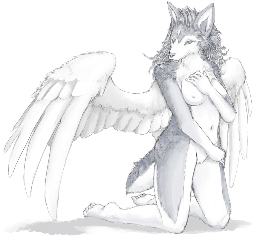 angel canine female kneeling nude pira shy solo wings