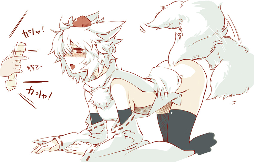 all_fours animal_ears black_legwear blush bottomless detached_sleeves hat inubashiri_momiji nerugal no_bra red_eyes short_hair solo tail tail_wagging thighhighs tokin_hat touhou white_hair wolf_ears wolf_tail