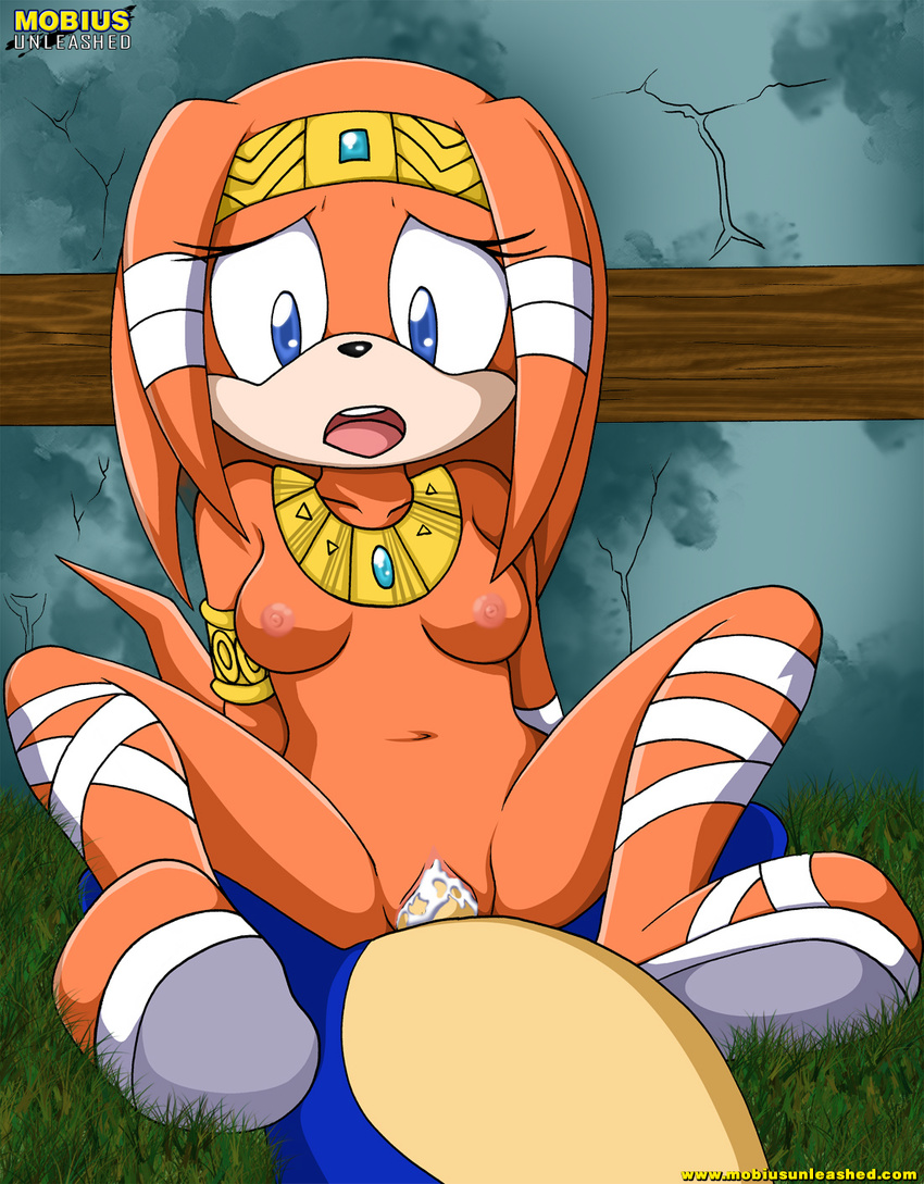 blue_eyes breasts cowgirl cum cum_in_pussy cum_inside echidna female hedgehog male mobian mobius_unleashed outside penetration penis riding sega sex sonic_(series) sonic_the_hedgehog straight tikal_the_echidna vaginal vaginal_penetration