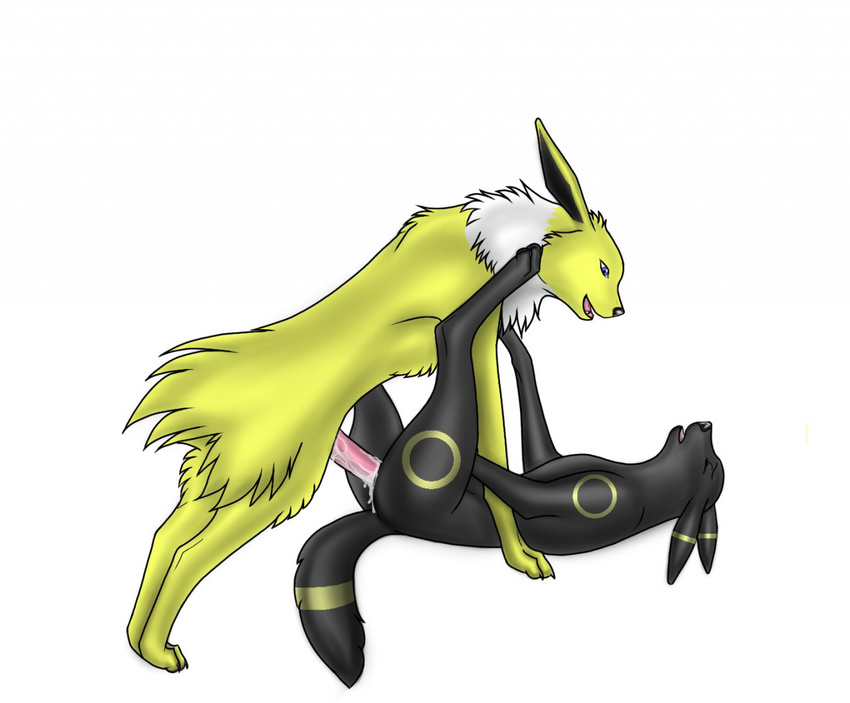 jolteon pokemon tagme umbreon