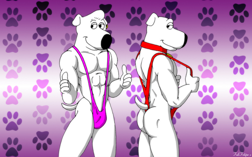 brian_griffin bulge butt canine dog fabfelipe family_guy gay jasper male muscles pawprint tail toon