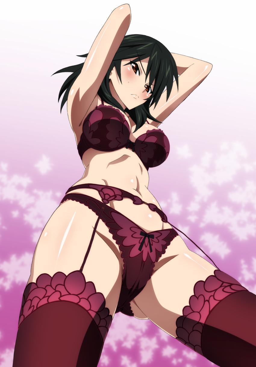 arms_up black_hair blush bra brown_eyes from_below garter_belt highres infinite_stratos lingerie mokke_(mokke99) navel orimura_chifuyu panties solo thighhighs thighs underwear underwear_only