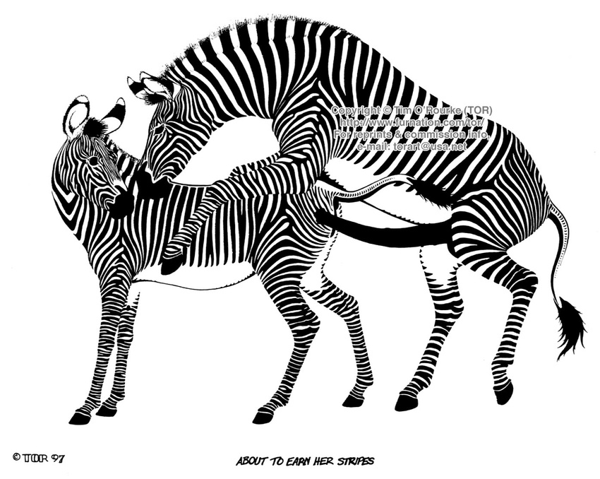 black_and_white equine female feral hooves horsecock male monochrome penis randy_muledeer straight zebra