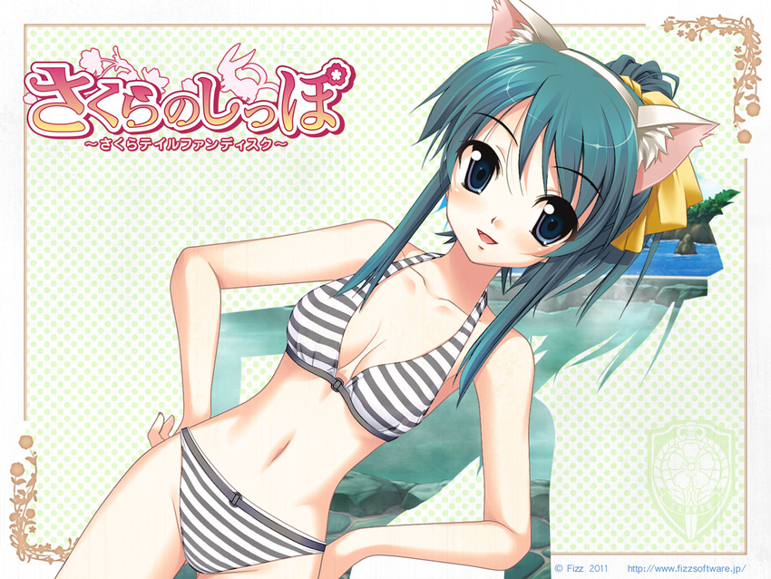 animal_ears bikini blue_eyes blue_hair cleavage sakura_tale swimsuit tagme