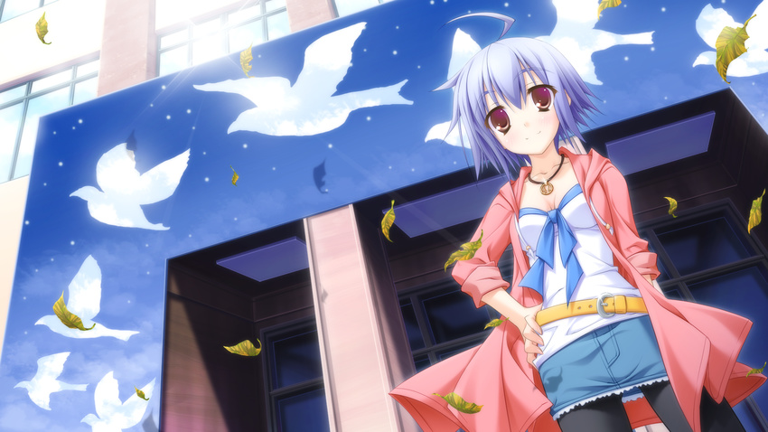 blue_hair canvas_4 dp_minase game_cg short_hair tagme_(character)