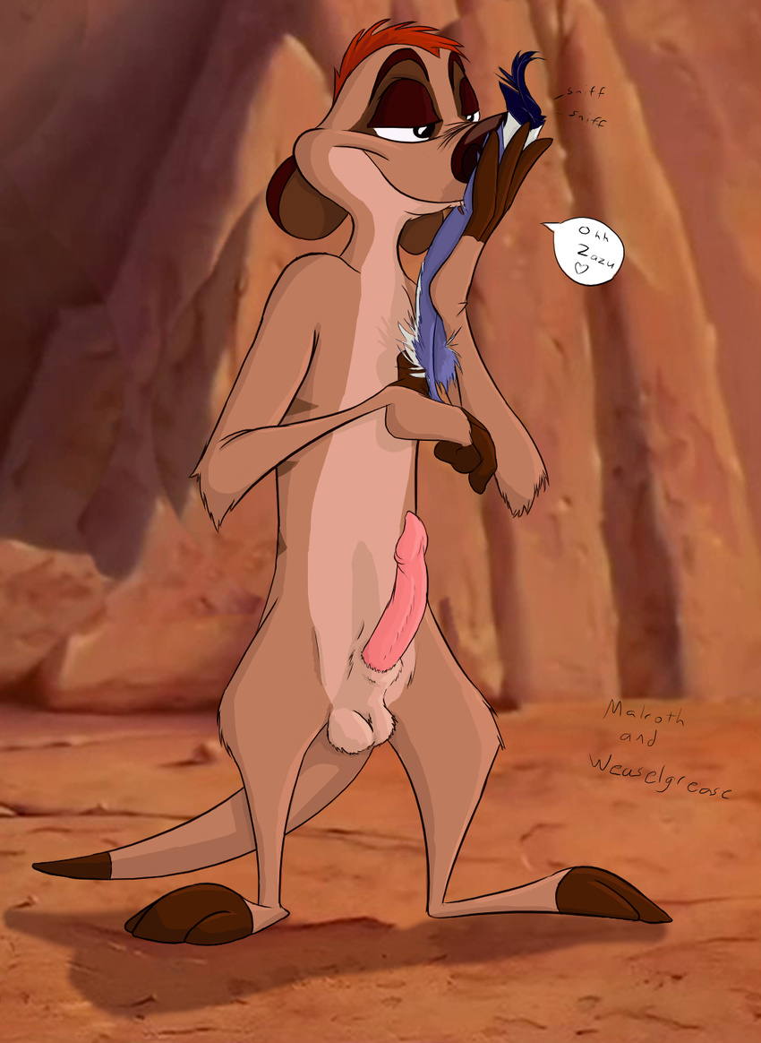 balls disney feral male malroth penis solo the_lion_king timon weaselgrease