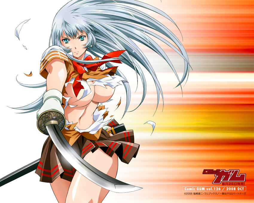 chouun_shiryuu gray_hair green_eyes ikkitousen katana sword weapon