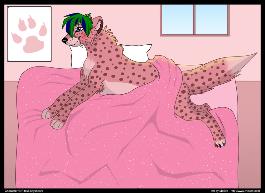 ayakashi bed blue cheetah chox choxy feline fluffy green hair melleh pink ritsuka sheets solo tail