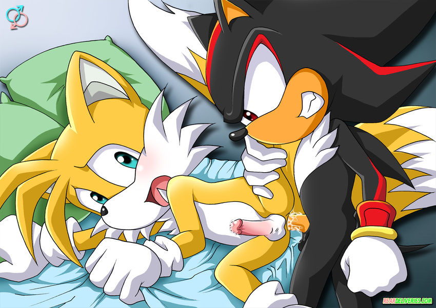 anal anal_penetration canine fox gay male miles_prower mobian penetration penis rear_deliveries shadow_the_hedgehog sonic_(series)